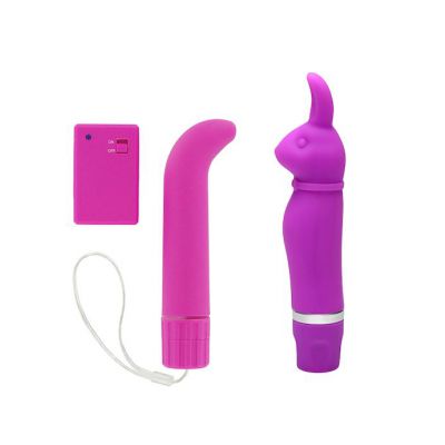 Pocket Rabbit With Free Remote G spot Vibe Pink
