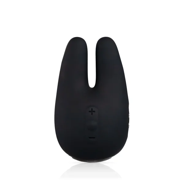 Form 2 Pro™