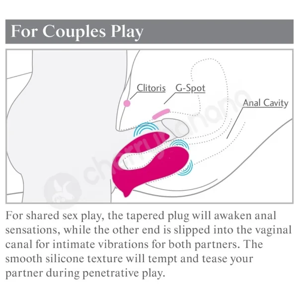 3some Pink Double Ecstasy U Shaped Multi-use Vibrator