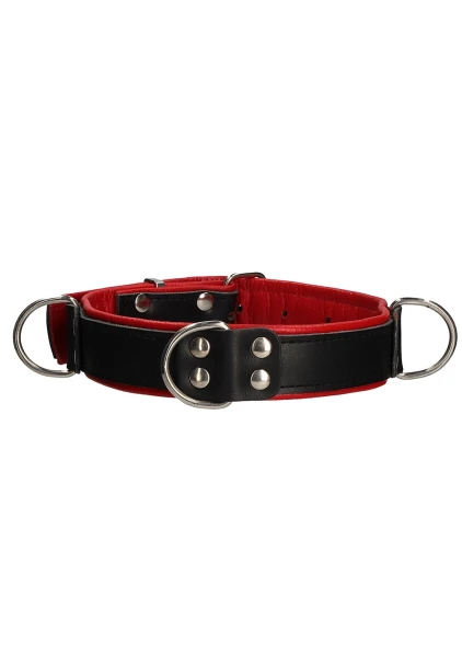 Deluxe Bondage Collar