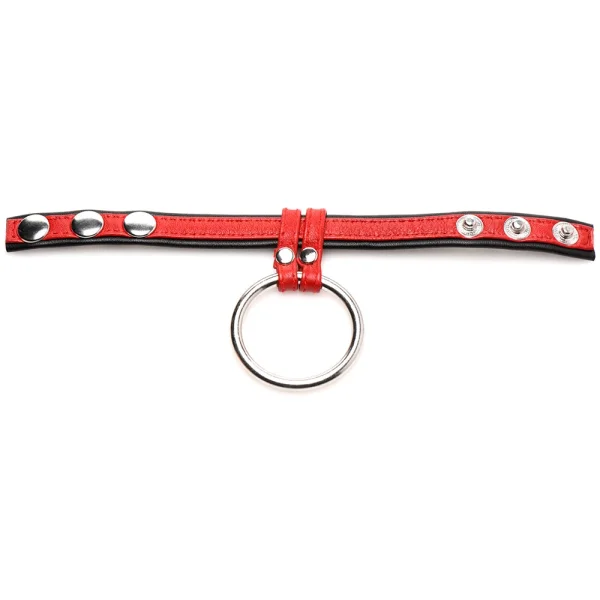 Strict Leather and Steel Cock & Ball Ring