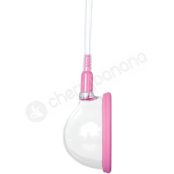 Adam & Eve Eve's Petite Pink Vagina & Clit Pump
