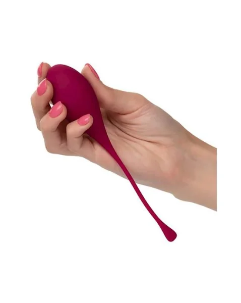 Kegel Training 5-Piece Set