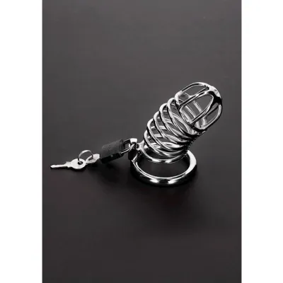 Spiral Chastity Cage Silver
