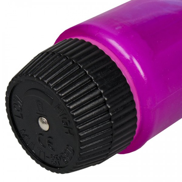 Double Penetration Anal and Vaginal Vibrator