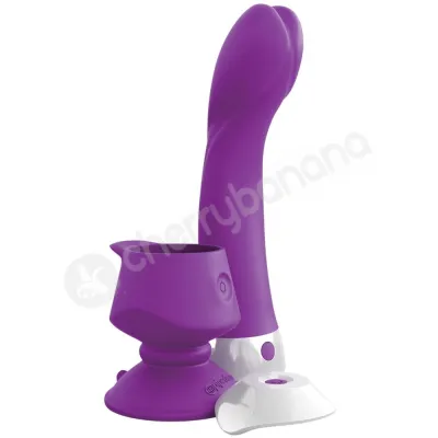 3some Wall Banger G Purple G Spot Vibrator With Suction Cup Base Remote Control