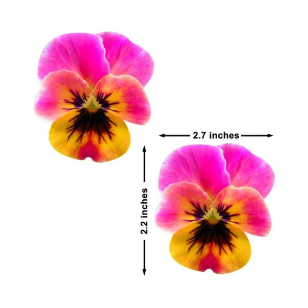 Neva Nude Pasty Flower Pansy Pink — image 7 of 8