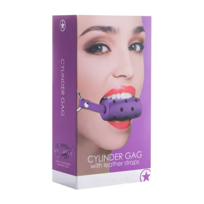 Cylinder Gag Purple