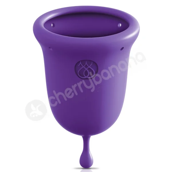 Jimmyjane Intimate Care Purple Menstrual Cups 2 Pack