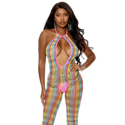 Rainbow Open Crotch Bodystocking