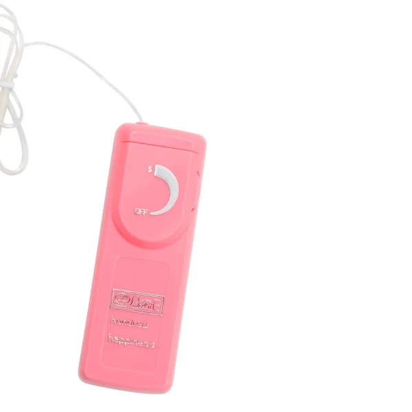 Mini Power Bullet