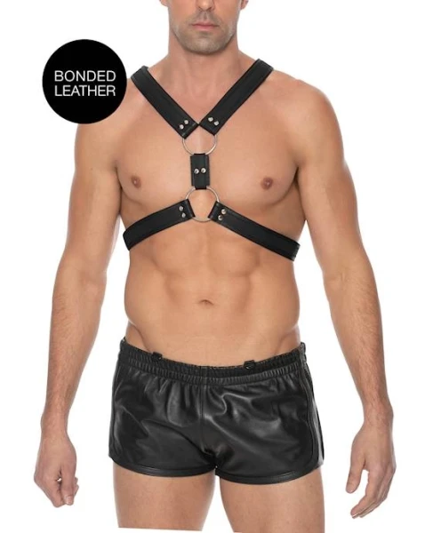 Z Series Scottish Harness