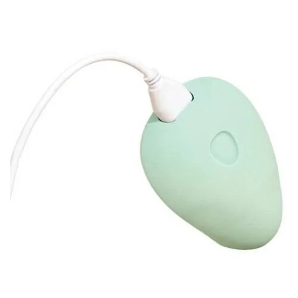 Dame Pom Vibrator