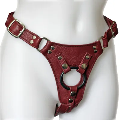 Aslan Jaguar Harness Cherry