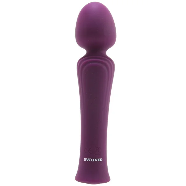 Evolved Novelties My Secret Wand Massager