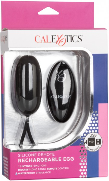 Remote Egg Vibrator