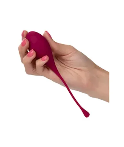 Kegel Training 5-Piece Set — image 25 of 25