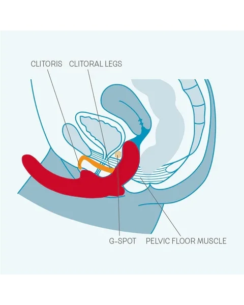 Fun Factory ShareVibe Vibrator