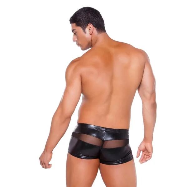 Allure Lingerie Zeus Wet Look Peek a Boo Shorts One Size