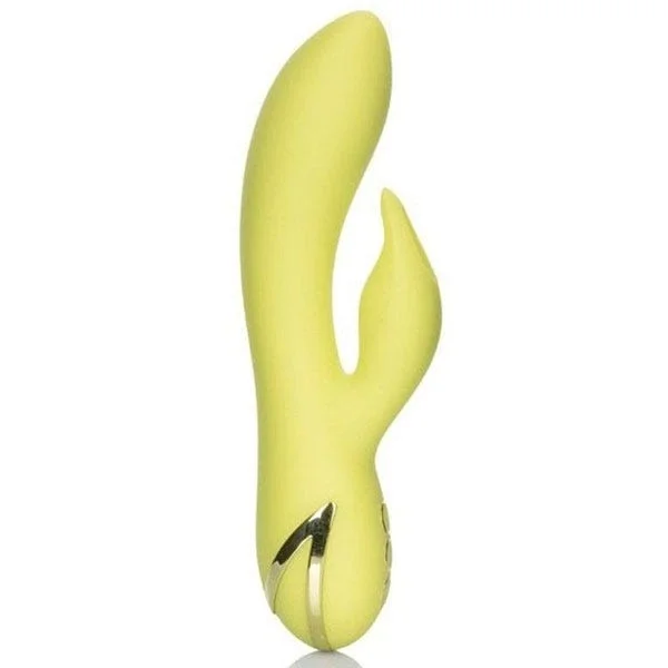 California Dreaming Venice Vixen Rabbit