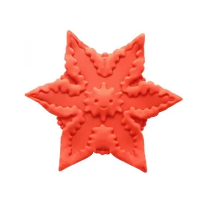 Clitoral Stimulation Cute Little Fuckers Starsi Coral