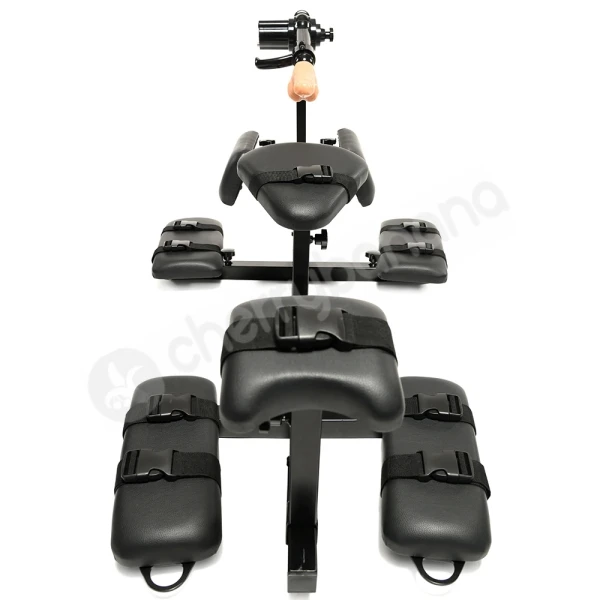 Master Series Master Series Subversion Stockade & Sex Machine