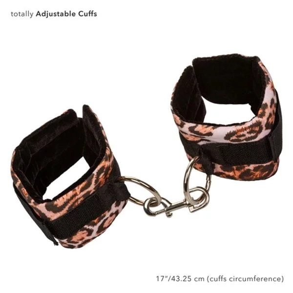 Unleashed Adventure Set