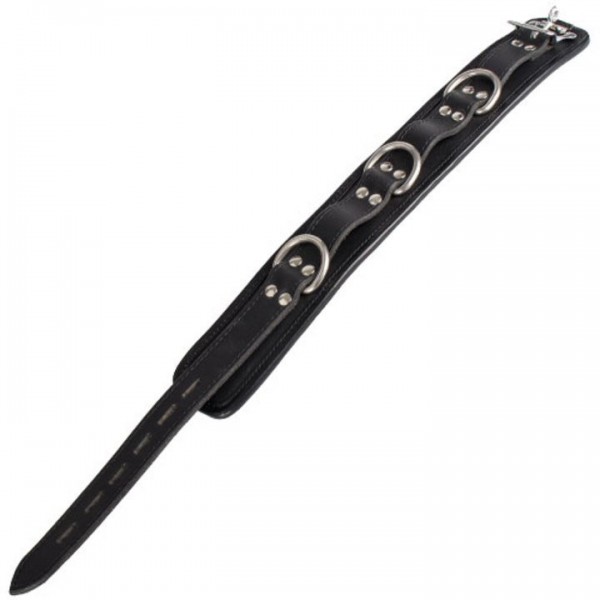 Bondara Luxe Saddle Leather Heavy Duty Padded Collar — image 5 of 6