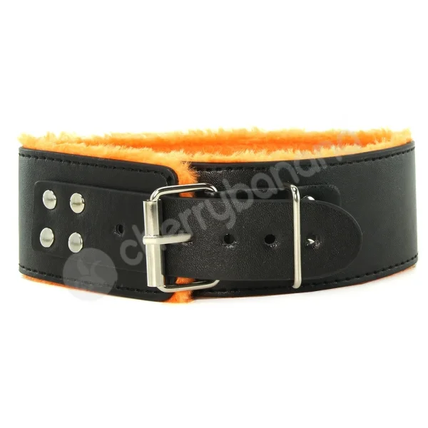 Orange is the New Black - Short Leash