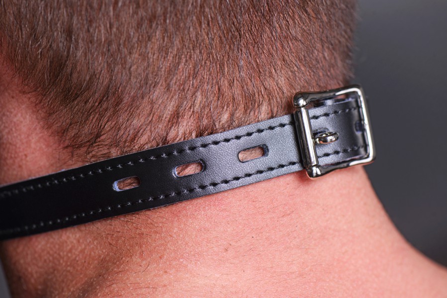Ball Gag + Leather Straps