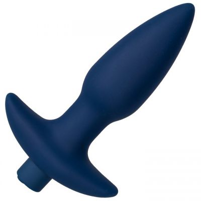 Bondara ButtWiser 10 Function Vibrating Butt Plug 5 5 Inch