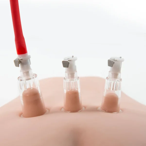 Temptasia - Clitoris Pleasure and Enhancement