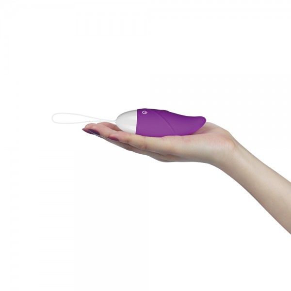 iJOY Remote Control Egg Vibrator