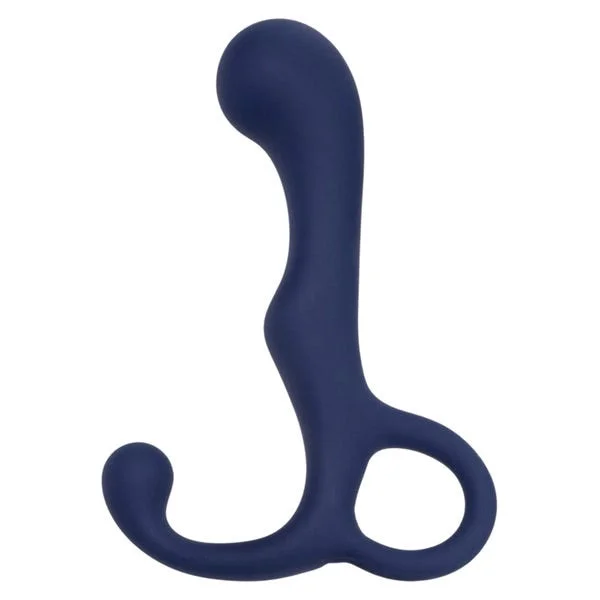 Viceroy Agility Probe