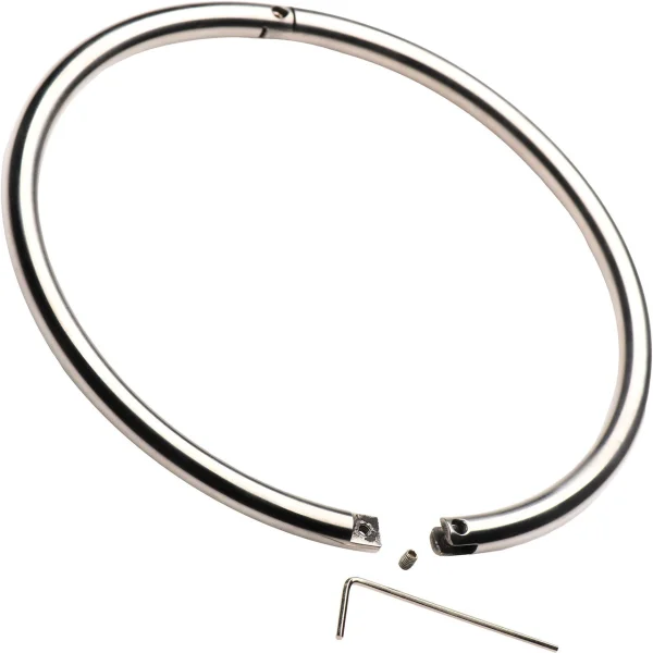 Master Series Possession Steel Lock Collar