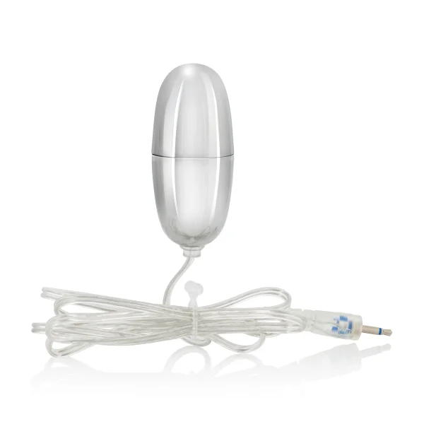 Sterling Collection Silver Bullet With 2-Speed  Controller Plus Sleeve