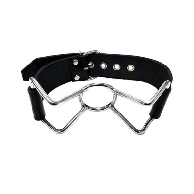 Rouge Leather Spider Gag