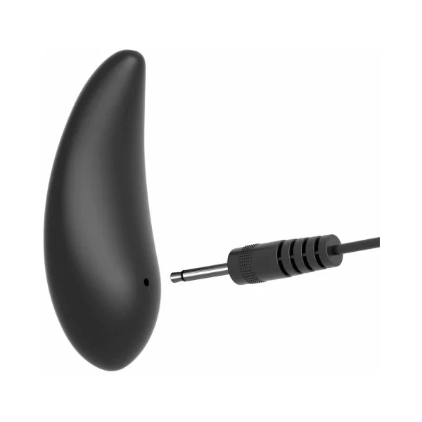 Fcr - Remote Control Double Penetrator