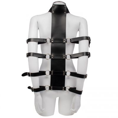 Bondara Armed and Amorous Collar and Arm Restraint