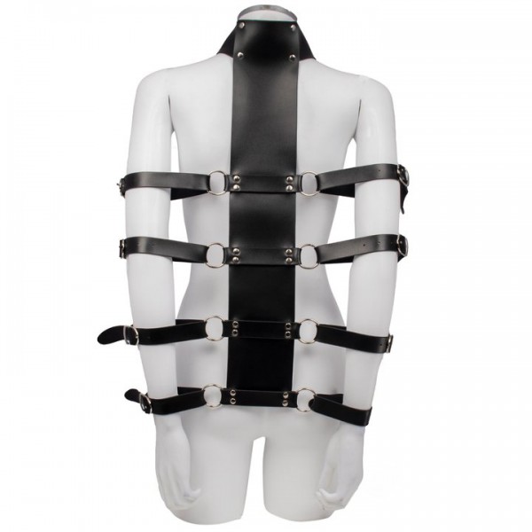 Bondara Armed and Amorous Collar and Arm Restraint