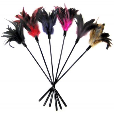 Sportsheets Starburst Feather Ticklers