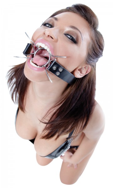Spider gag