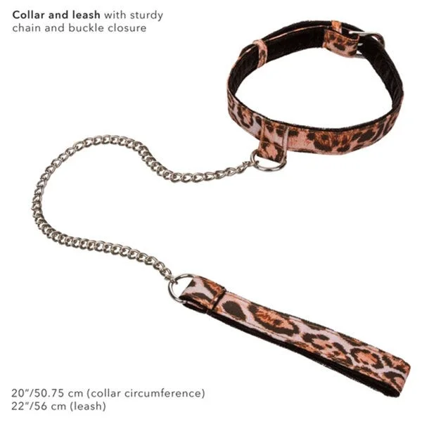 Unleashed Adventure Set