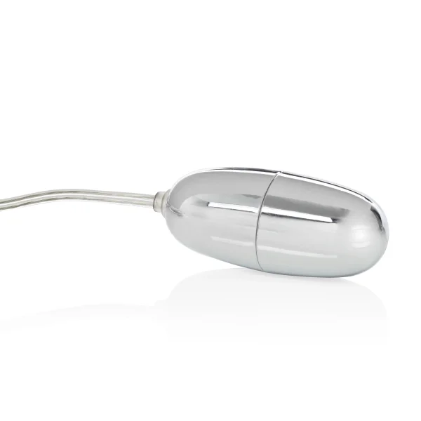Sterling Collection Silver Bullet With 2-Speed  Controller Plus Sleeve