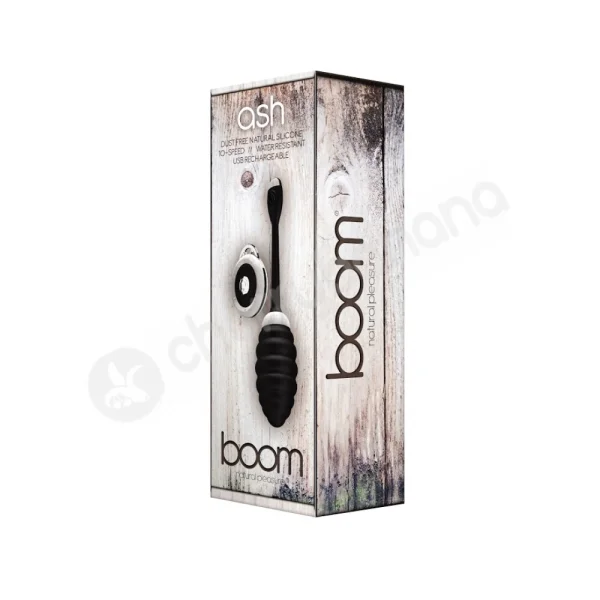 Boom Ash Black Bullet Vibrator
