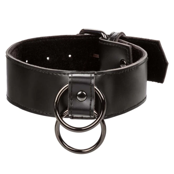 Euphoria Collection Collar With Chain Leash By CalExotics