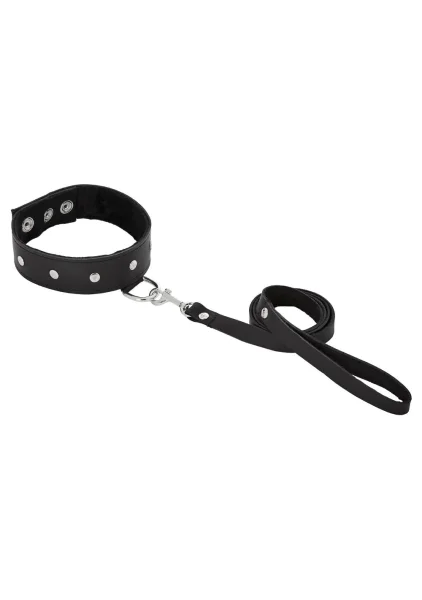 Leather Metal Studded Collar and Leash Set