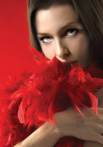 Boa  - Red — image 5 of 7
