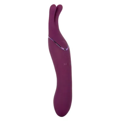 Tempt Tease 2 in 1 Massager Sass Vibrator