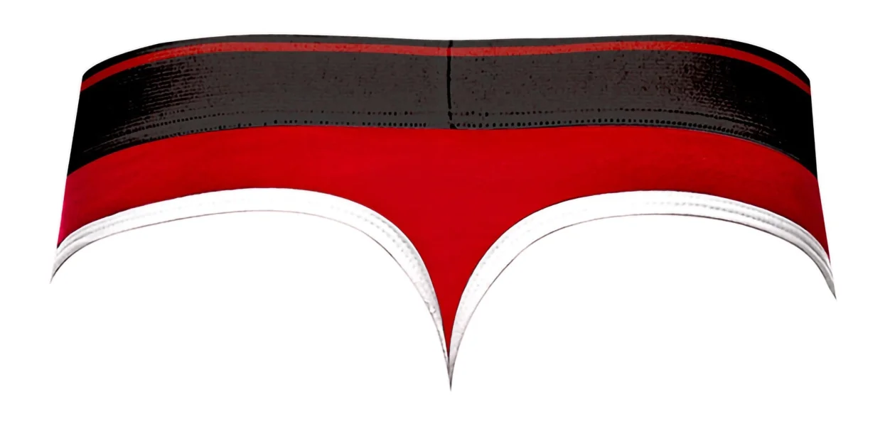 Men's Lingerie - Retro Sport Panel Thong - S- M